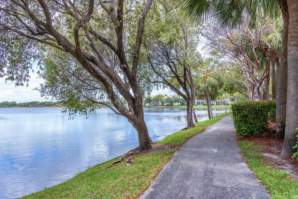 Walking path by lake surrounded by trees